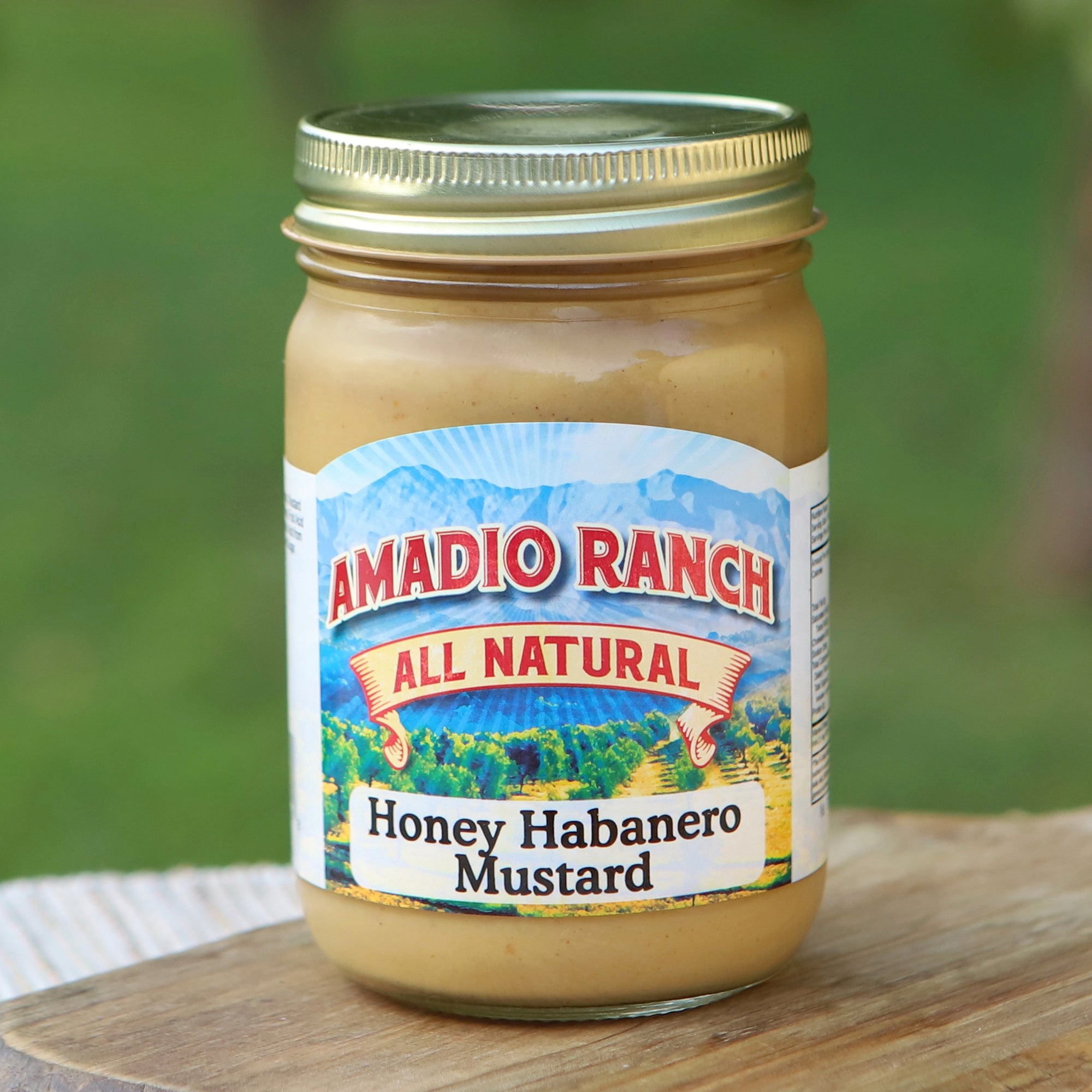 Honey Habanero Mustard
