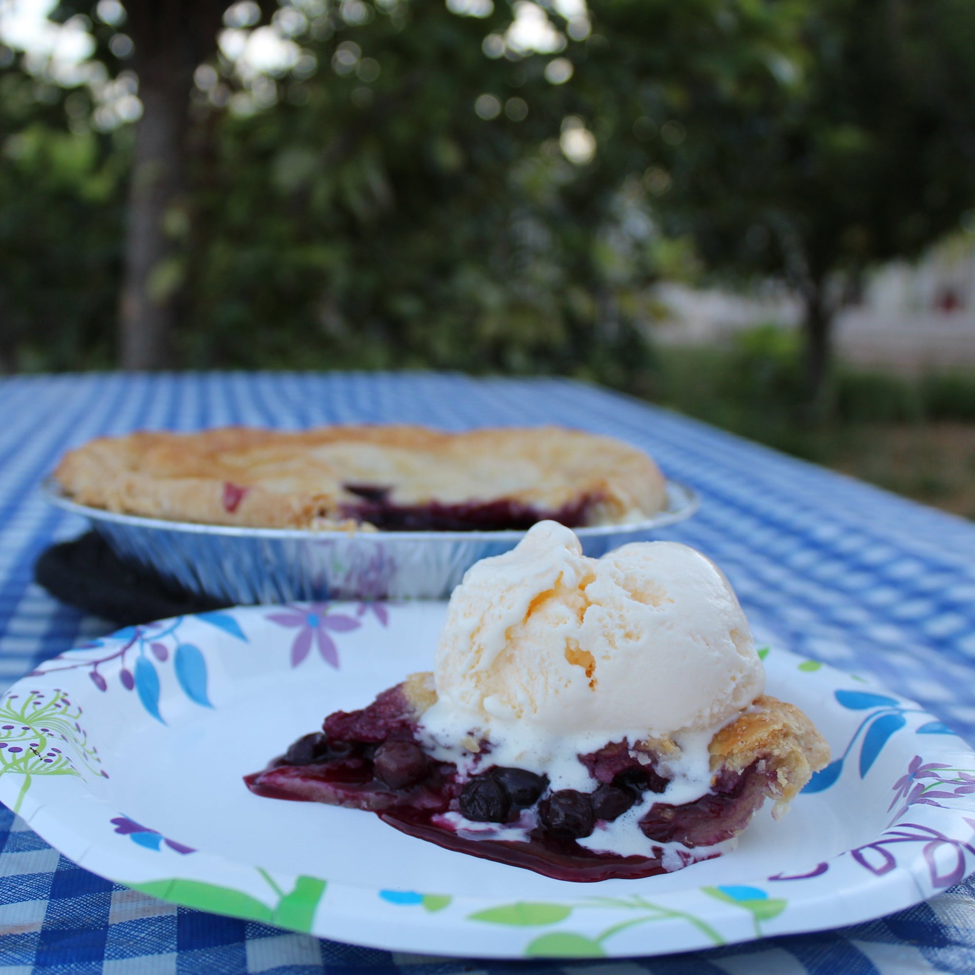Blueberry Pie with ice cream