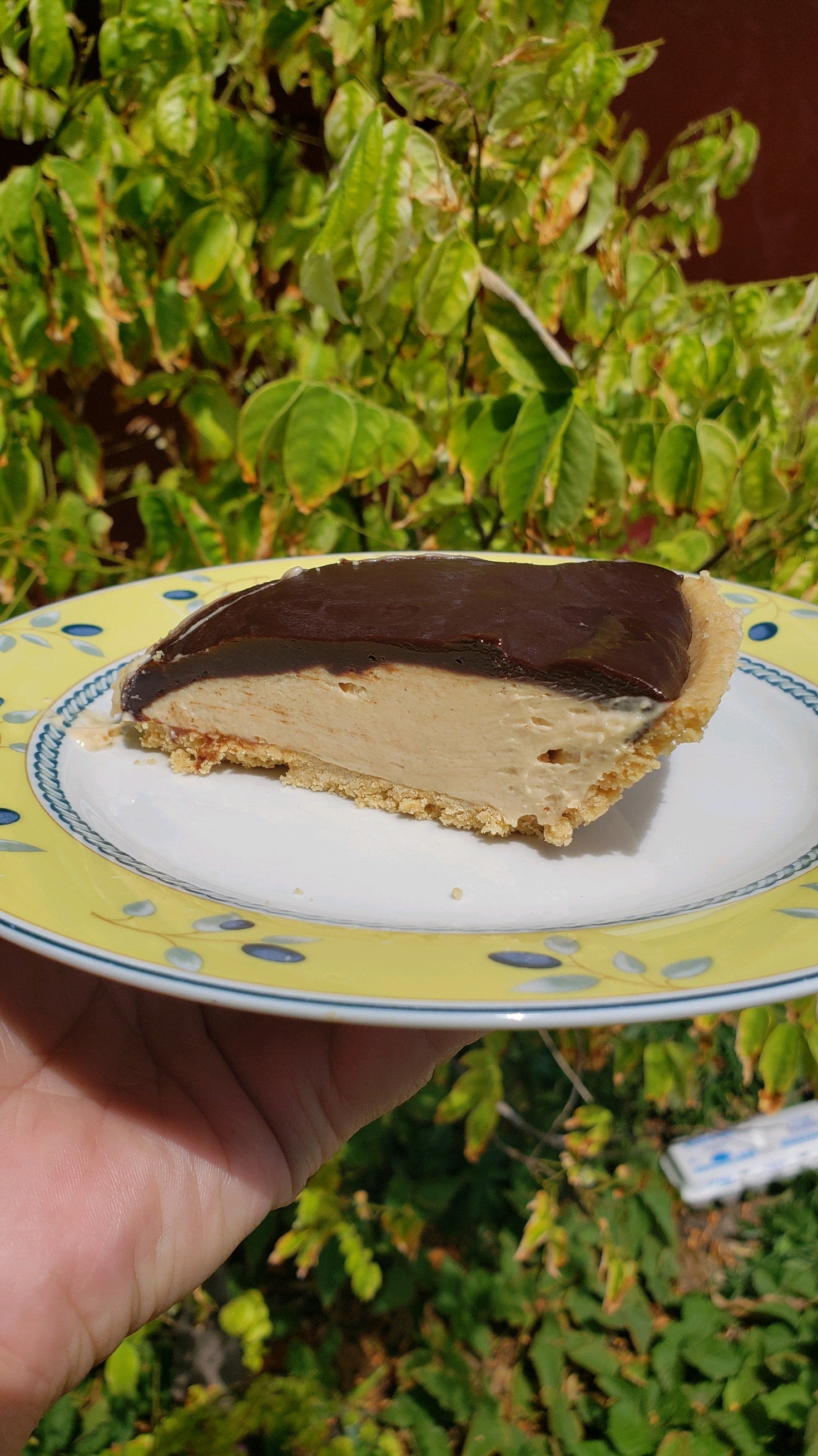 Peanut Butter Chocolate Pie
