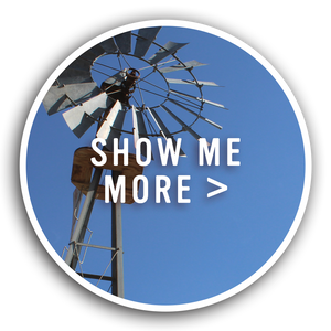 Show More